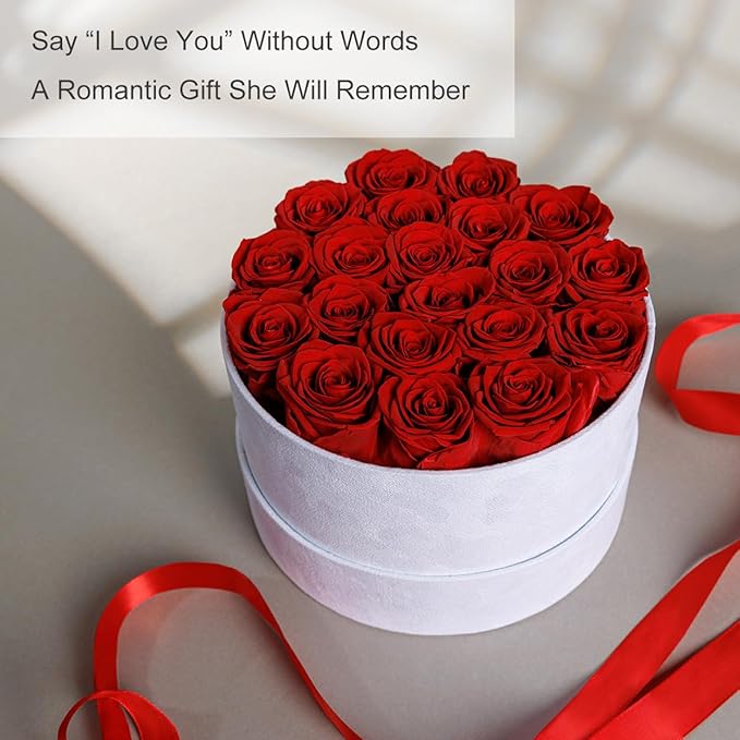 Gifts for Women Preserved Roses Flower Box, Luxury Velvet Box with 20 Roses, Preserved Flowers, Romantic Gift for Her, Wife, Girlfriend, Birthday Anniversary Christmas (Red)