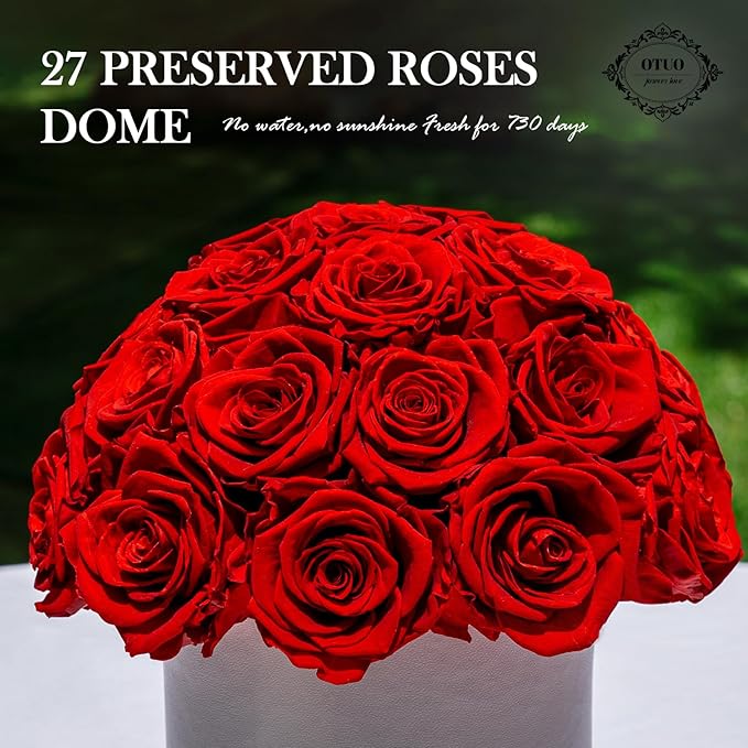 27 Preserved Roses in Round Dome Shape, Mother's Day Real Forever Flowers Rose Box, Eternal Rose Gift for Her Women Girl Friend Wife, Flower Gift for Valentines Day(Red)