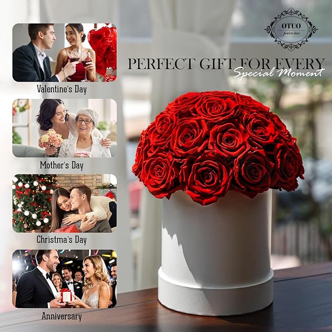 27 Preserved Roses in Round Dome Shape, Mother's Day Real Forever Flowers Rose Box, Eternal Rose Gift for Her Women Girl Friend Wife, Flower Gift for Valentines Day(Red)