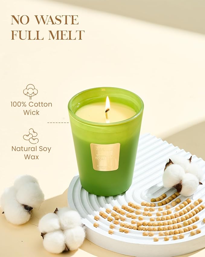 M&SENSE Rosemary Eucalyptus Soy Candle, 14.1oz, Summer Refresh Scent | 60H Slow Burn, Non-Toxic, Home Offic Stress Relief Relaxation Houswarming Gift