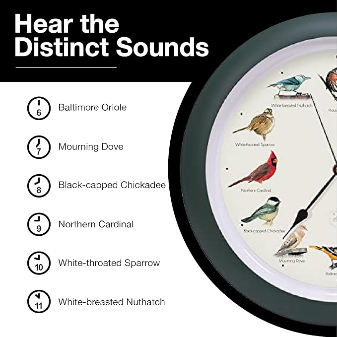 Mark Feldstein, The Original Singing Bird Clock, 25th Anniversary Edition, 13 Inch, Green