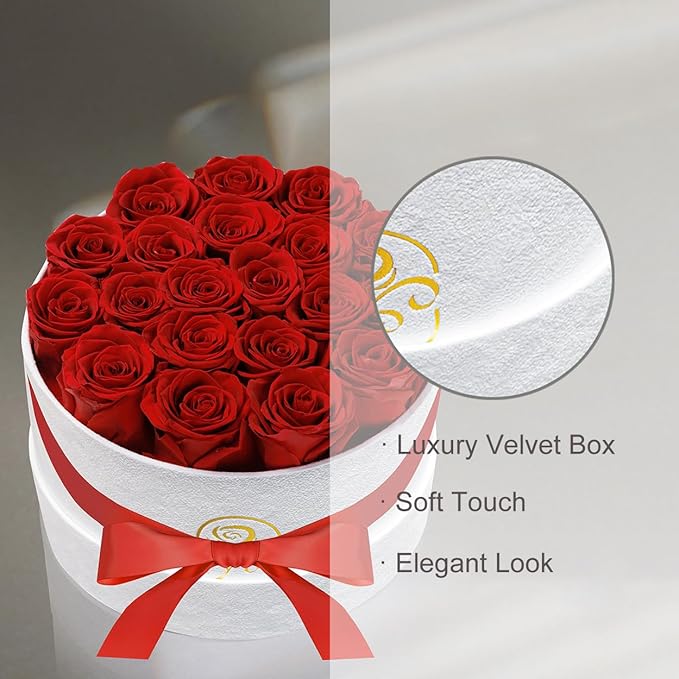 Gifts for Women Preserved Roses Flower Box, Luxury Velvet Box with 20 Roses, Preserved Flowers, Romantic Gift for Her, Wife, Girlfriend, Birthday Anniversary Christmas (Red)