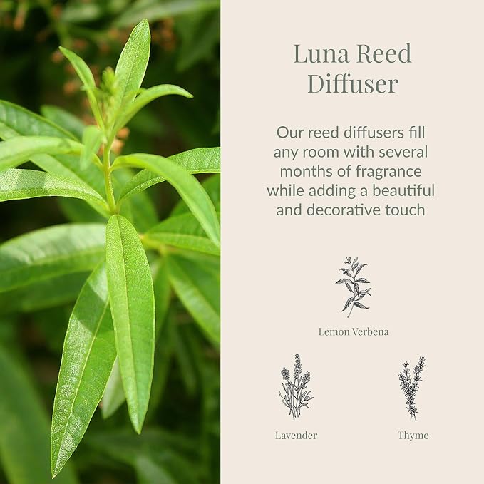 Archipelago Botanicals Luna Reed Diffuser, Home Fragrance Reed Diffuser, Includes Fragrance Oil, Frosted Glass Vessel & 10 Diffuser Reeds, Perfect for Home, Office or Gift, 7.6 Fl Oz