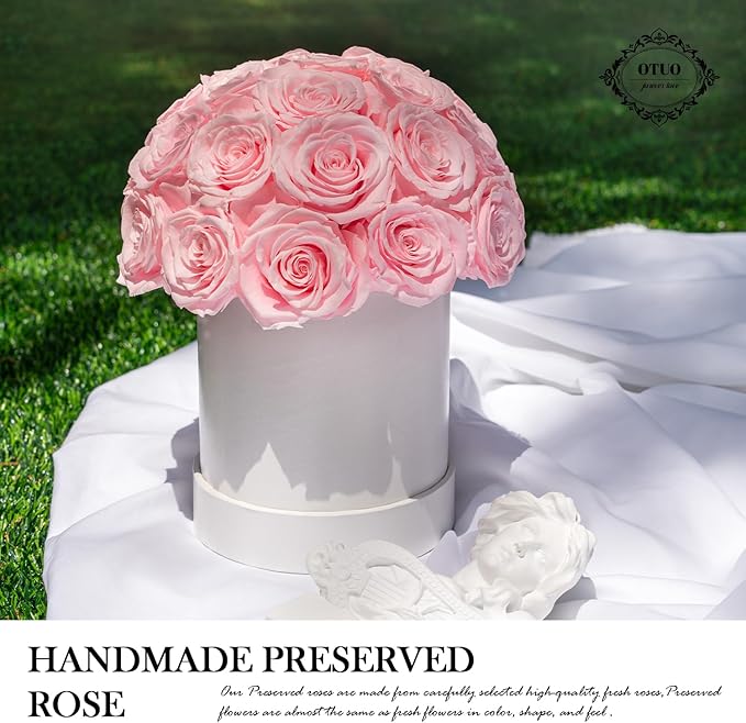 27 Preserved Roses in Round Dome Shape, Mother's Day Real Forever Flowers Rose Box, Eternal Rose Gift for Her Women Girl Friend Wife, Flower Gift for Valentines Day(Pink)