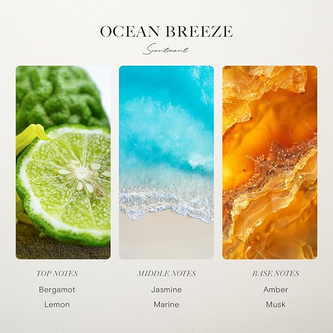 Scentiment Ocean Breeze Fragrance Oil – Bergamot, Lemon, Jasmine with Marine & Amber Scent for Diffusers, Aromatherapy Oil (500ml)