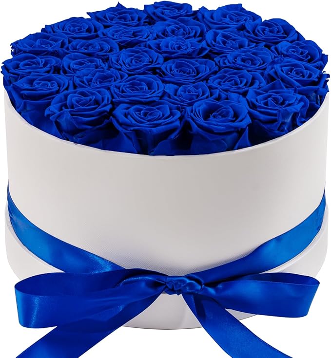 27 Piece Preserved Roses in a Box - Forever Flowers for Delivery Prime, Eternal Roses Mothers Gifts for Mom, Valentine's Day, Wife Anniversary Birthday Gifts for Women(Blue)