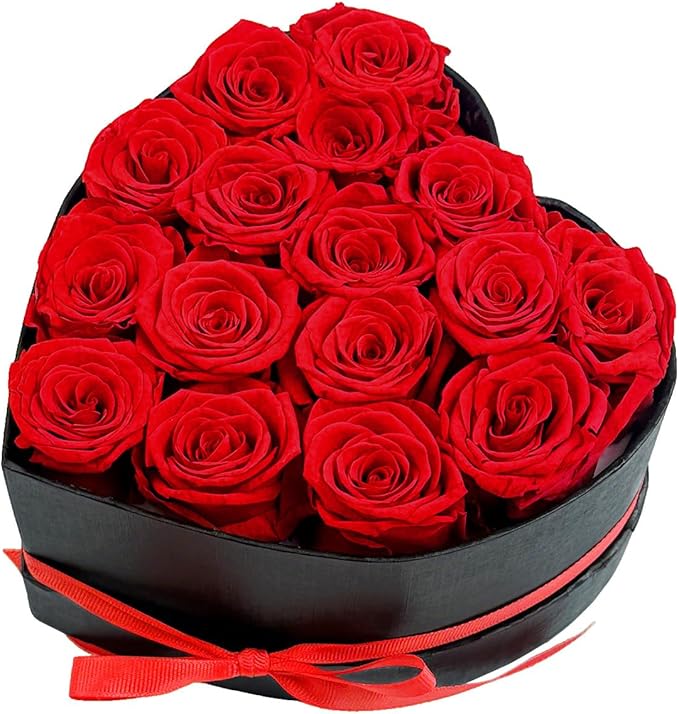 Preserved Roses Heart Shape Box Valentines Day Gifts for Her Mothers Day Forever Flowers (Red, 16 Roses)