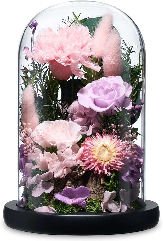 Preserved Roses,Forever Fresh Flowers 7.48in,Gift for Women,Mom,Grandma,Wife,Girlfriend,Sister,and Daughter Perfect for Birthday,Mother’s Day,Valentine’s Day (Sweetheart Carnation4)