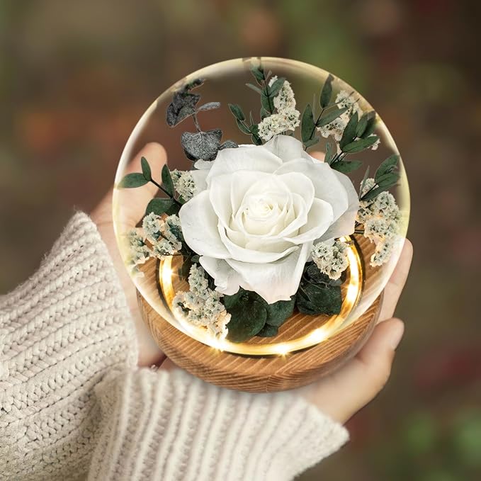 Preserved Roses & Preserved Flowers Gift for Women, Roses that Last Forever, Flowers for Delivery Prime, White Roses – Birthday, Mother’s Day &Valentine