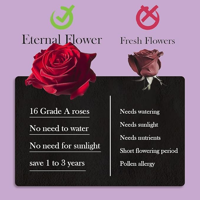 16 Preserved Roses in Heart-Shaped Box, Flowers for Delivery Prime Last up 2 Years, Real Forever Flowers for Wife, Girlfriend, Mother, Eternal Roses for Anniversary - Purple