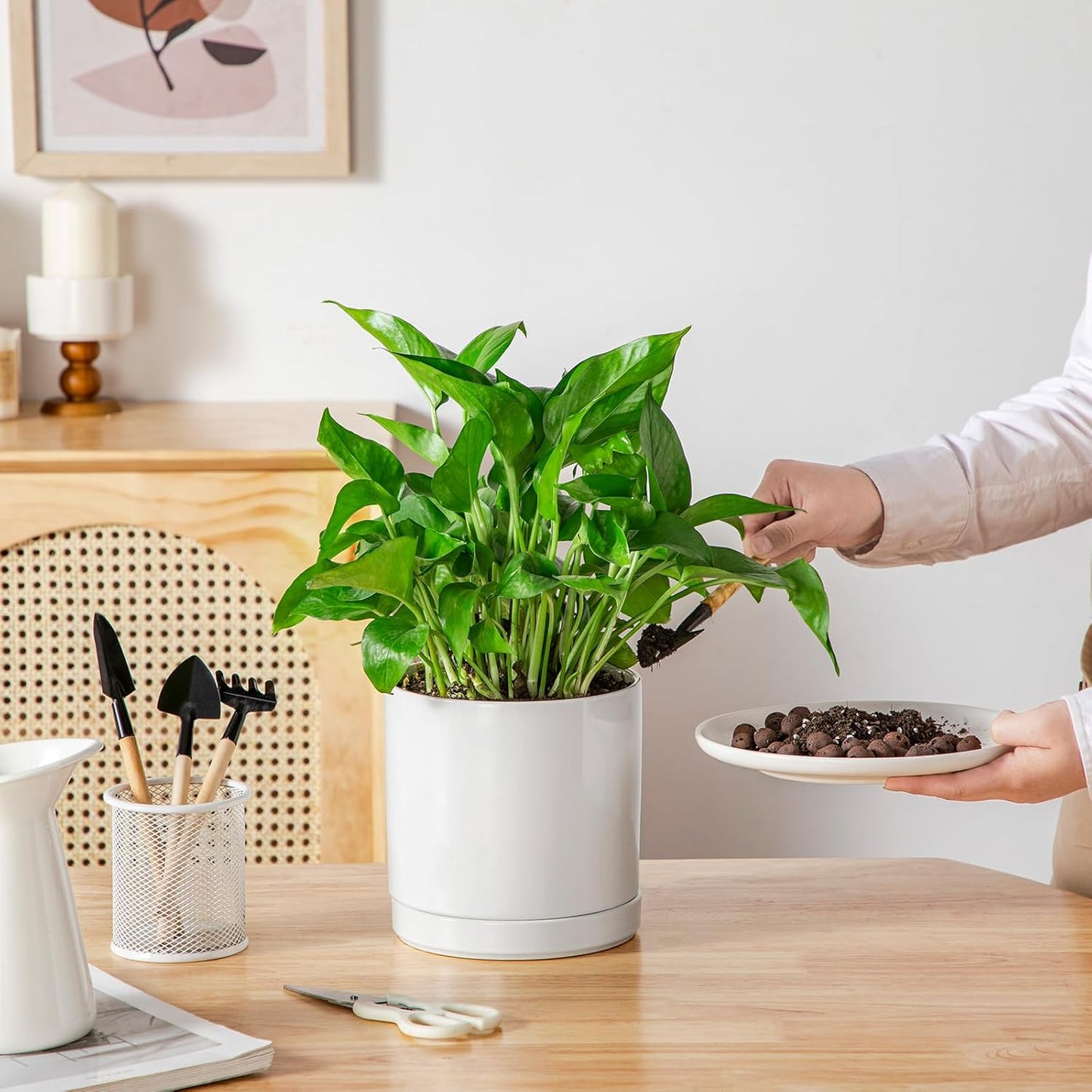 vancasso Ceramic Plant Pots, 6.25 Inch Ceramic Pot for Plants, Planters Pots for Indoor Plants with Drainage Holes, Flower Pot for Indoor House Plant, White