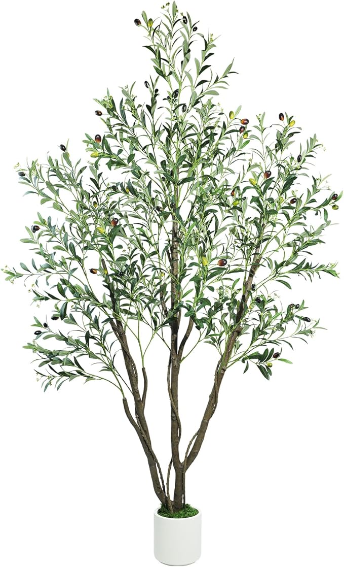 Caxchiling Large Artificial Olive Tree 6FT, Indoor Outdoor Faux Tree | Natural Trunk with Olive Fruits and Buds in White Planter for Home Office Living Room