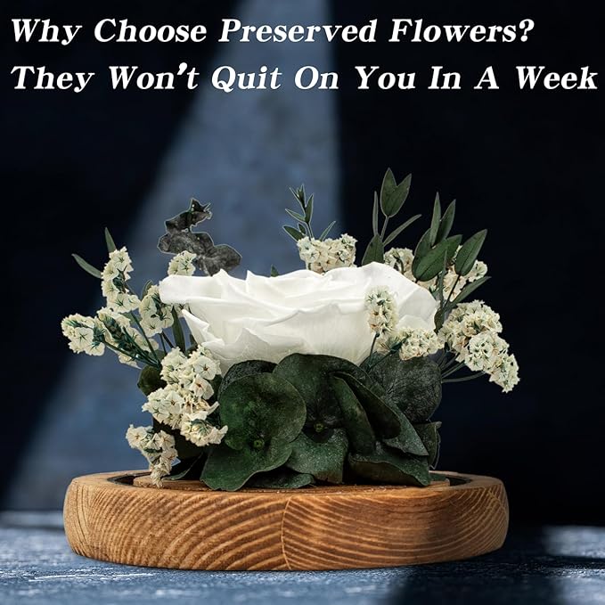 Preserved Roses & Preserved Flowers Gift for Women, Roses that Last Forever, Flowers for Delivery Prime, White Roses – Birthday, Mother’s Day &Valentine
