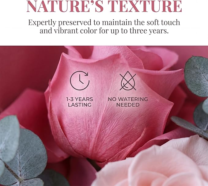 XTYFJGVA 16 Preserved Pink Roses Bouquet, Flowers for Delivery, Real Roses That Last 1-3 Years, Birthday Gifts for Women, Forever Flower Gifts for Mom, Wife, Grandma, Her on Mothers Day, Anniversary
