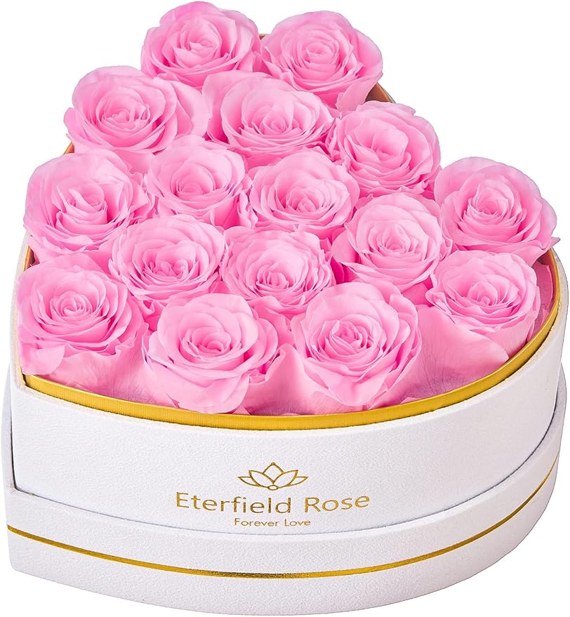 Eterfield 16 Forever Flowers in Heart Shape Box, Preserved Roses That Last a Year Preserved Flowers Birthday Gifts for Her Mom Women Wife Anniversary Valentines Day Mothers Day Christmas, Light Pink