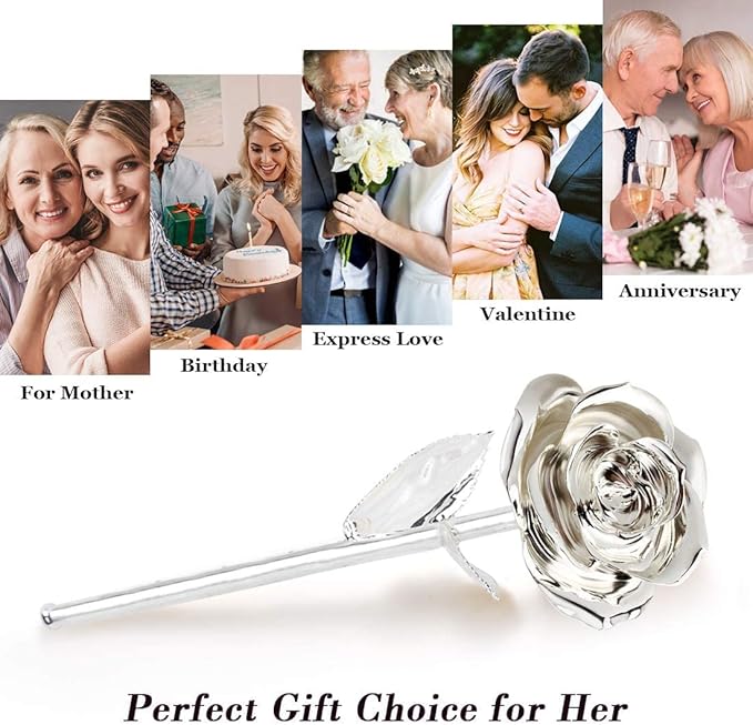 Ejoyous Silver Plated Real Rose Long Stem Forever Preserved Rose Flower for Her Women Wife Mother Girlfriend on Mothers Day Valentine's Day 25th 50th Anniversary Birthday
