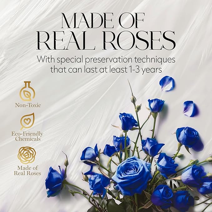 GLAMOUR BOUTIQUE Flowers Forever Gift Box, 12 Real Preserved Roses in Velvet Black Box, Floral Gift for Wife, Mom or Her for Birthday, Mother’s Day, Anniversary or Graduation, Blue (Color-Treated)