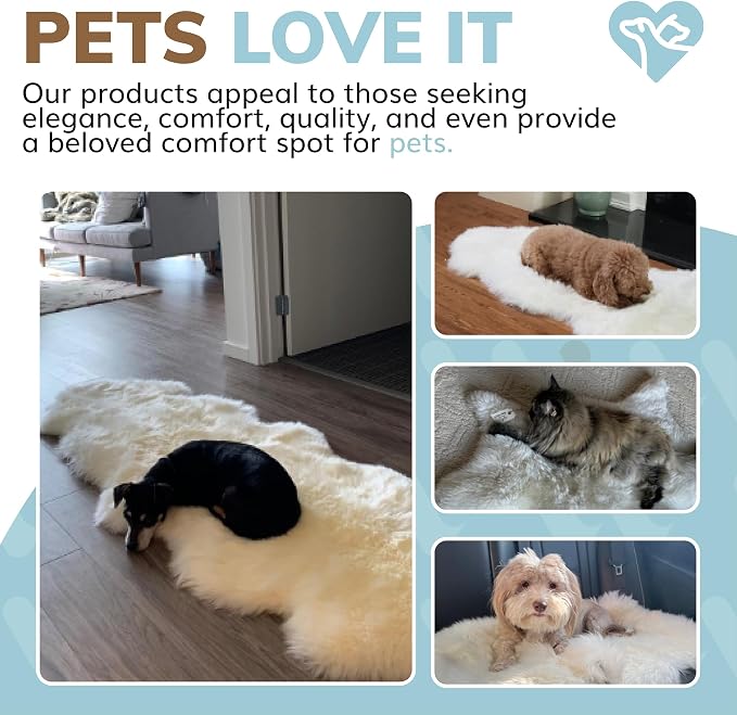 WaySoft New Zealand Sheepskin Area Rug – Genuine Fluffy Wool, Multiple Sizes, Bedroom or Living Room Decor(4ft x 6ft,Ivory)
