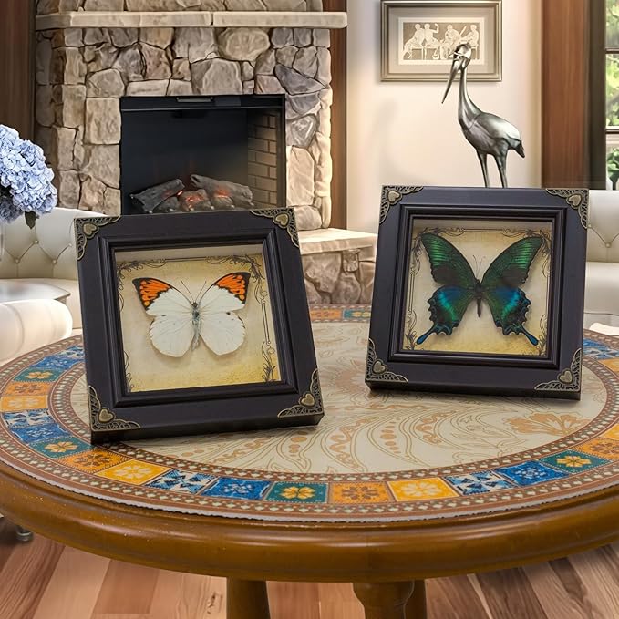 Handmade Real Butterfly Taxidermy Framed - 5-Piece Gift Set for Mother's Day - Gothic Home Decor and Vintage Frame - Butterflies Taxidermy Shadow Box Collection (Red Helen Butterfly)