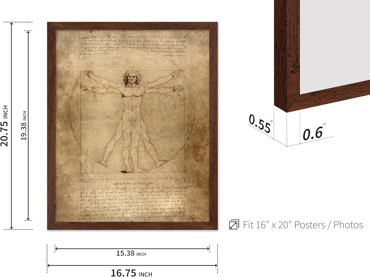 Poster Master Classic Leonardo Da Vinci Poster - Vintage Renaissance Print - Gift for Artist, Friend - Vitruvian Man, Proportion, Symmetry, Human Body - Wall Decor for Office, 16x20 Brown Framed