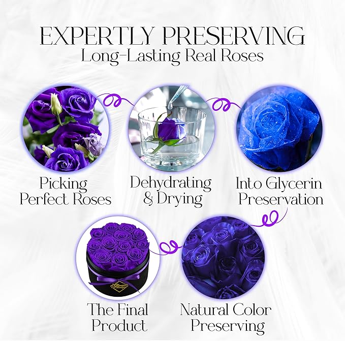 GLAMOUR BOUTIQUE Flowers Forever Gift Box, 12 Real Preserved Roses in Velvet Box, Floral Gift for Her, Mom or Wife for Birthday, Mother’s Day, Anniversary or Graduation, Purple (Color-Treated)