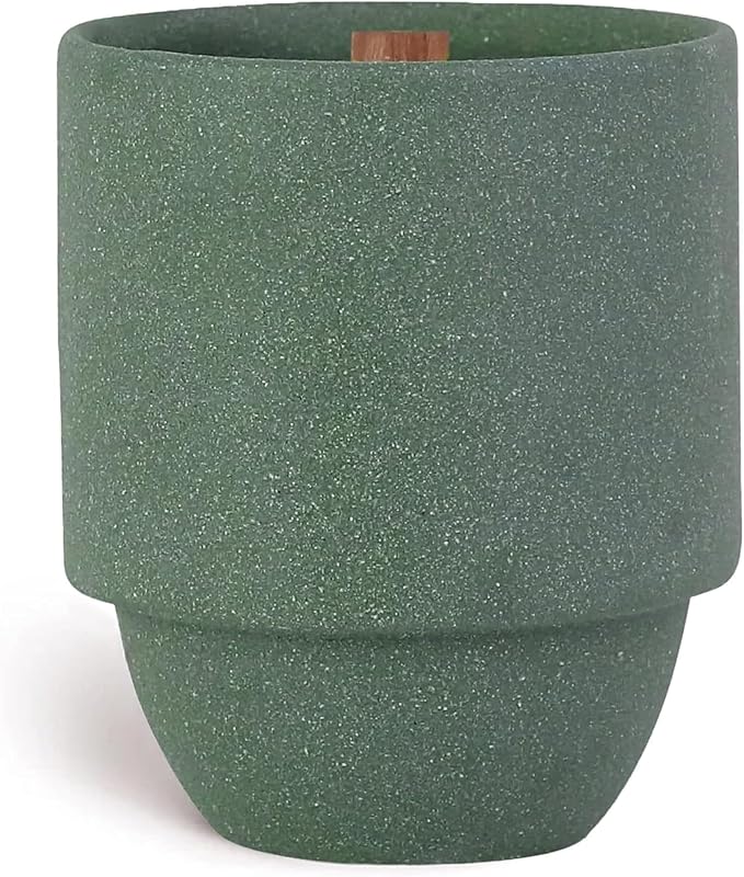 Paddywax Parks, Great Smoky Mountains Scented Candle in Ceramic Jar with Crackling Wood Wick, Soy Candle with Approx. 77 Hour Burn Time, Decorative Gift Candles for Home, Maplewood & Moss Scent, 11 oz