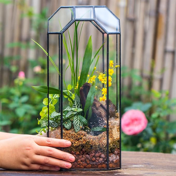 NCYP No Door Glass Geometric Octagon Open Terrarium 5.5"x5.5"x12.8" | Glass Planter for Tall Plants, Orchid, Small Begonia Pitcher, Home Garden Office Decor, Micro landscape (Terrarium Only)