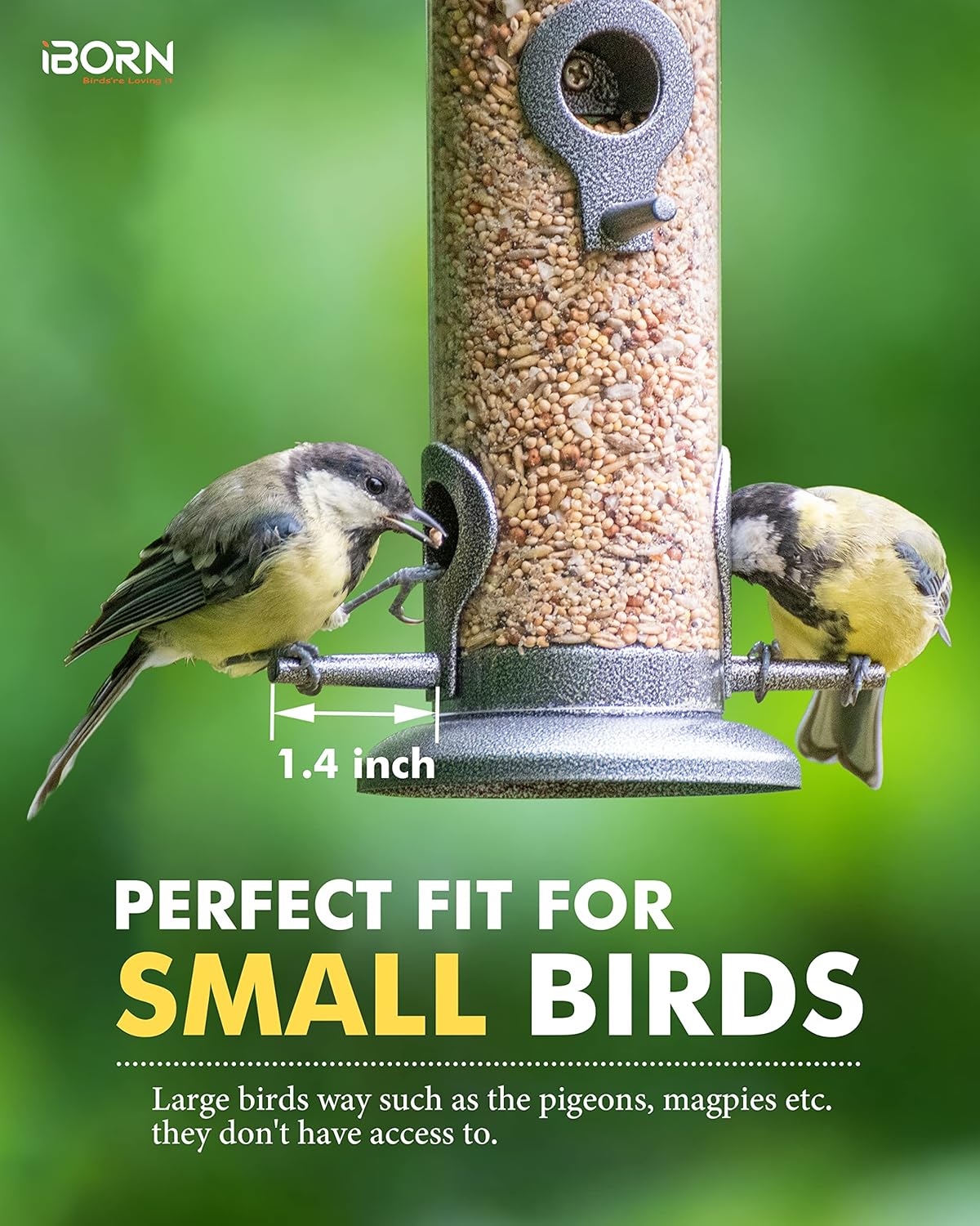 iBorn Metal Bird Feeder Hanging Wild Bird Seed Feeder for Mix Seed Blends Heavy Duty All Metal Silver Finish,14 Inch 6 Port(Seed is not Included)