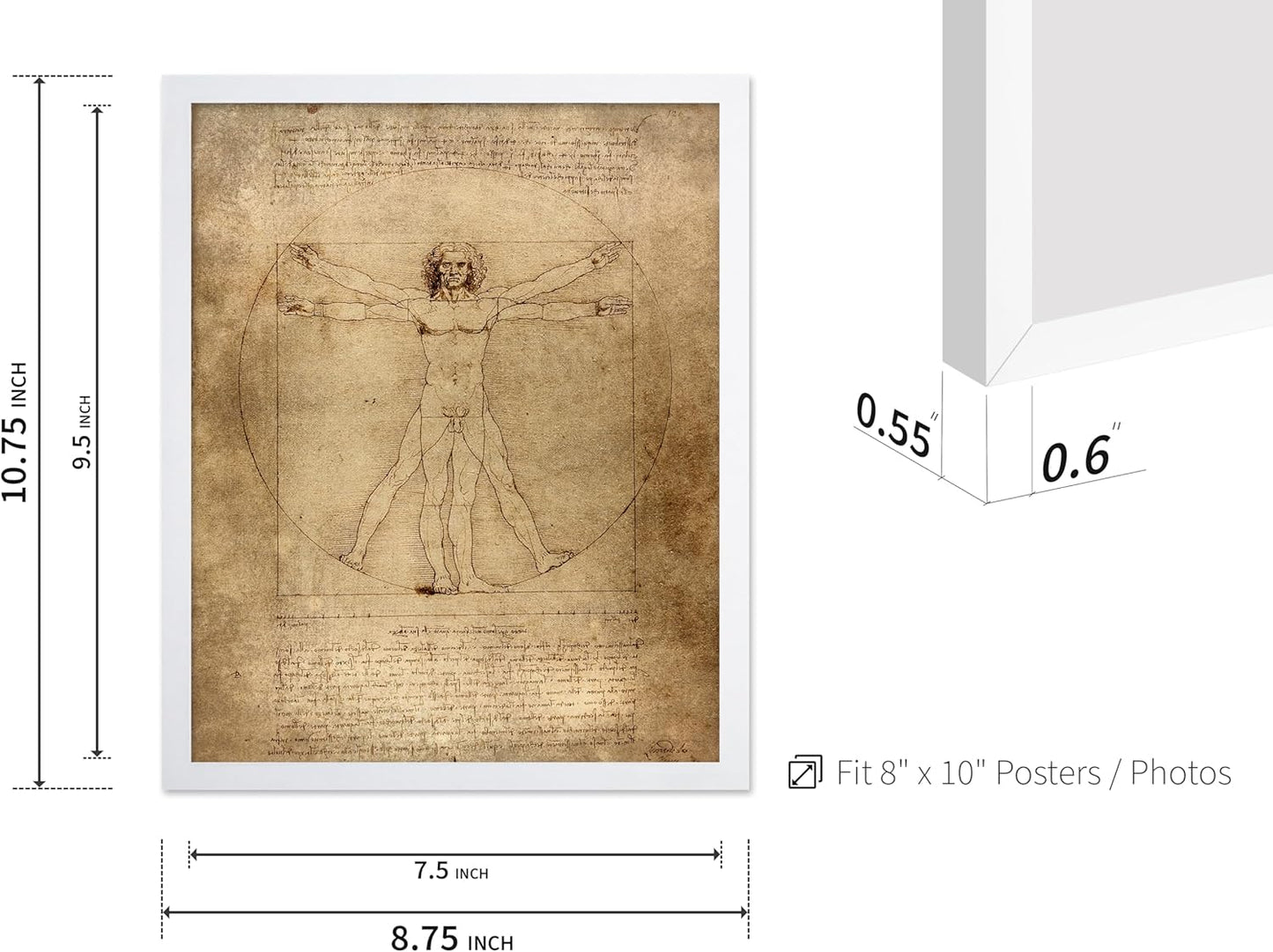 Poster Master Classic Leonardo Da Vinci Poster - Vintage Renaissance Print - Gift for Artist, Friend - Vitruvian Man, Proportion, Symmetry, Human Body - Wall Decor for Office, 8x10 White Framed
