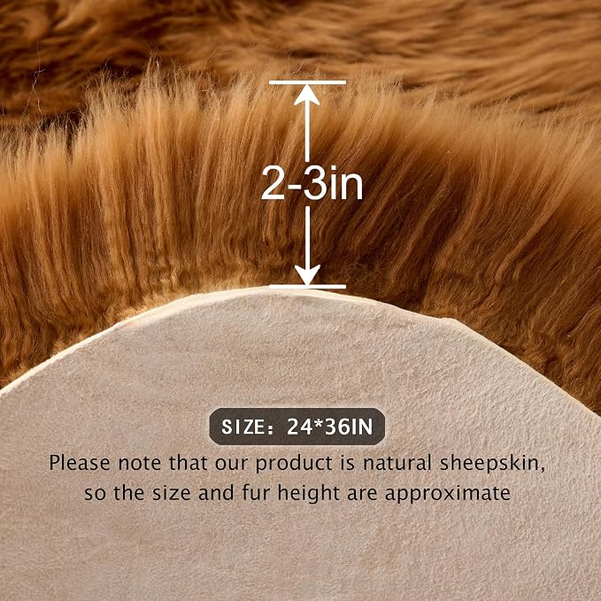 Premium Genuine Sheepskin Area Ruge - Real Wool Fur Shaggy Carpet | Fluffy Soft Natural Lambskin Rug Seat Chair Covers for Couch Sofa Bedroom Living Room(Brown,2×3 Feet Sheepskin)