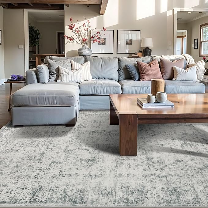 Rugxara Area Rugs for Living Room Bedroom, Washable Rug, Grey Vintage Abstract Boho Rug, Non Slip & Low Pile Wool Carpet for Indoor Dining Room, Farmhouse, Kids Room and Office(Grey 4x6ft)