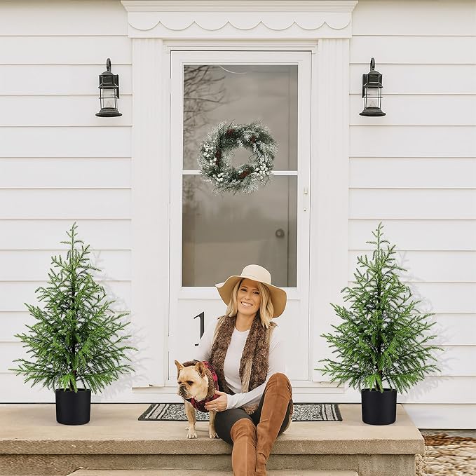 ENVEN Outdoor Artificial Topiary Cedar Tree Real Touch Faux Pine Evergreen Shrub Plant UV Resistant Greenery Tree with Pot Realistic Cypress Front Porch Decor (3FT-2Pack Nofolk Pine)