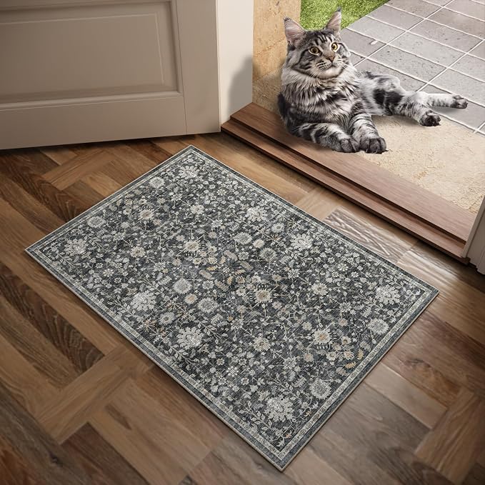 Machine Washable Entryway Small Area Rugs: Soft Non-Slip Low Pile Door Mat Indoor Entrance 2x3 ThrowRug for High-Traffic Areas Kitchen, Hallway, Farmhouse Decor