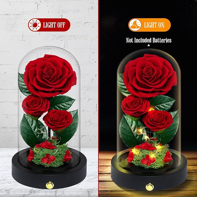 3 Preserved Flowers Roses in Glass Dome for Beauty and The Beast Decor Real Rosas Eternas for Women Mom Birthday,Forever Red Roses for Delivery, Gifts for Wife Girlfriend Her