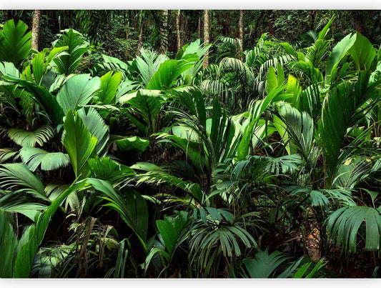 artgeist Wall Mural Nature 157x110 in - XXL Non-Woven Wallpaper Fleece Wall Decor Photo Print Picture Image Design Botanical Plants Jungle Leaves b-B-0594-a-a