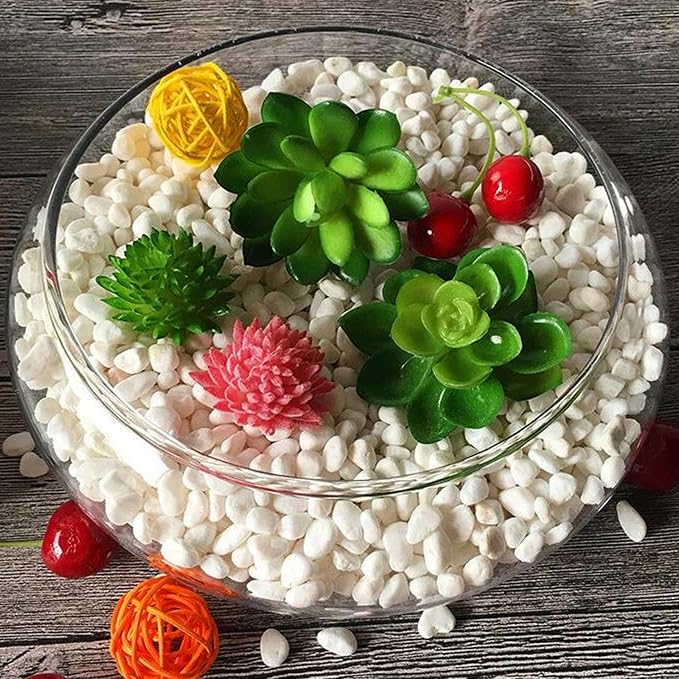 Lotus Bowl Planter Glass Lotus Bowls for Planting in Water Indoors Bonsai Pots No Drainage Hole Hydroponic Aquatic Plants Terrarium Fish Bowl Medium