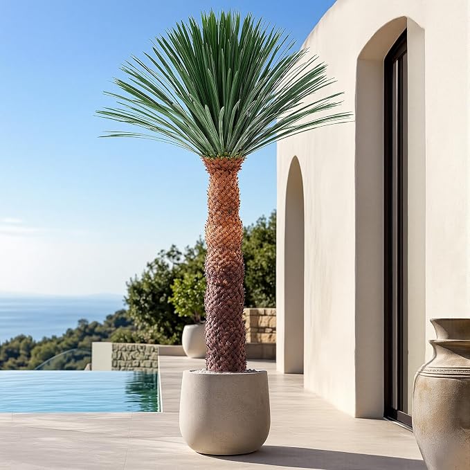 8.6FT Artificial Agave Plant in Black Pot, 103 Inch Tall Faux Agave with Removable White Coating, Fake Floor Plant for Indoor Outdoor Front Porch Patio Home Office Hotel Desert Style Decor