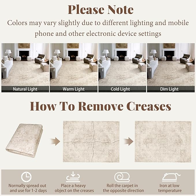 Machine Washable Area Rugs for Entryway: Door Mat Indoor Entrance 2x3 Boho Rug Vintage Distress Non-Slip Low Pile Soft Throw Carpet for High-Traffic Areas Kitchen, Hallway, Farmhouse Decor