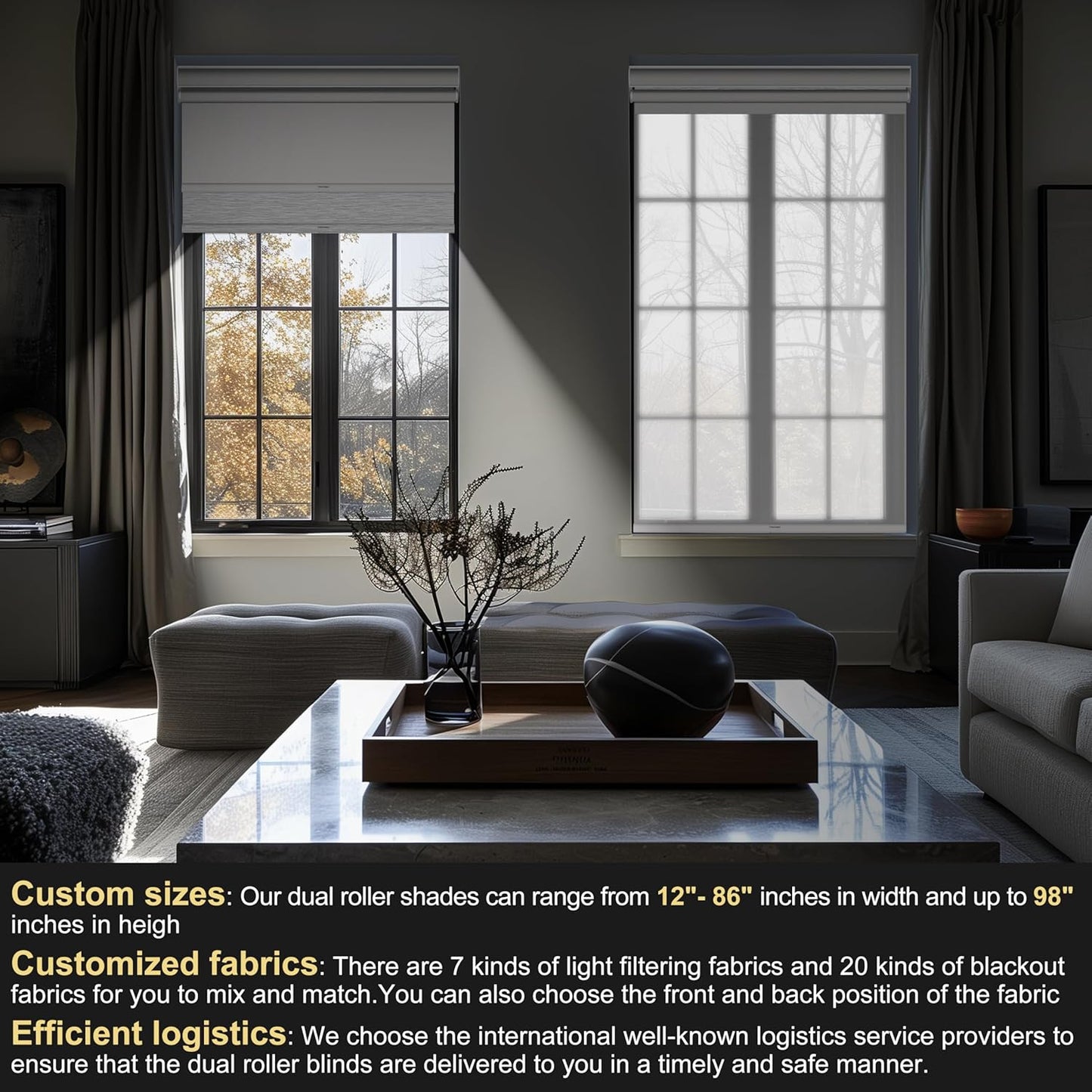 BERISSA Cordless Dual Roller Shades with Cassette Valance, Double Window Shades Blackout and 5% Light Filtering, Day and Night Shades for Home Office. White. Custom Sizes