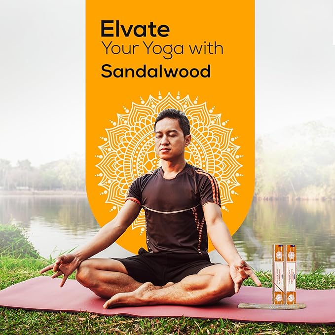 Satya Sandalwood Incense Sticks 180 gm (15GM X 12 Pack) from Satya Sai Baba Nag Champa and Raajsee Incense Sticks Holder Bundle, Free from Chemicals,Natural Insenses