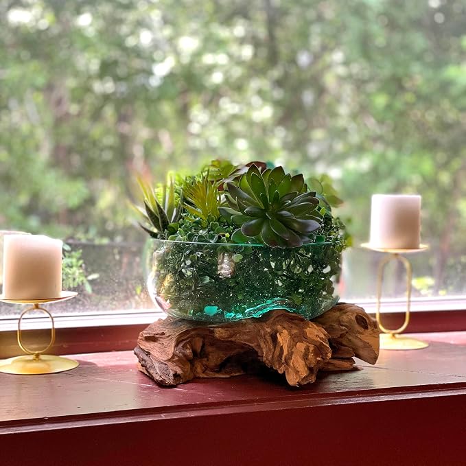 Decorative Vase, 10 Inch Diameter Molten Glass Bowl on Driftwood | Low 6 Inch Profile, Genuine Indonesian Wood, Hand Blown Clear Vessel with Bubbles and Organic Shapes