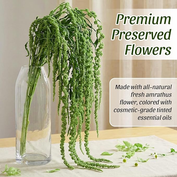 Suncalla Forest Green Spring Natural Dried Amaranthus Hanging Flowers Amaranthus Artificial Flowers for Wedding Arch Bouquet Floral Garland Wall Home Decoration (23 Inch,12 Pcs)