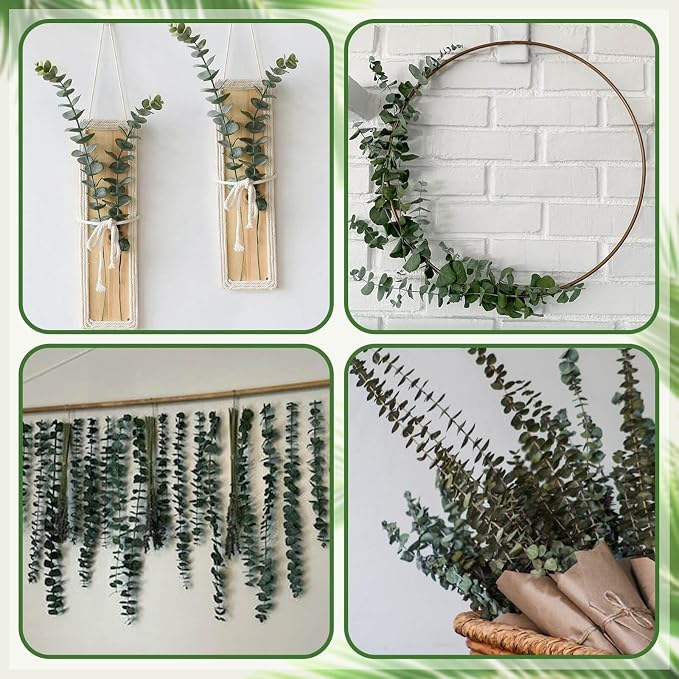 120 Pcs Preserved Eucalyptus for Shower, Dried Flowers Eucalyptus Stems 17" | Fresh preserved eucalyptus branches for shower, weddings, bathroom décor, vase filler and DIY arrangements.
