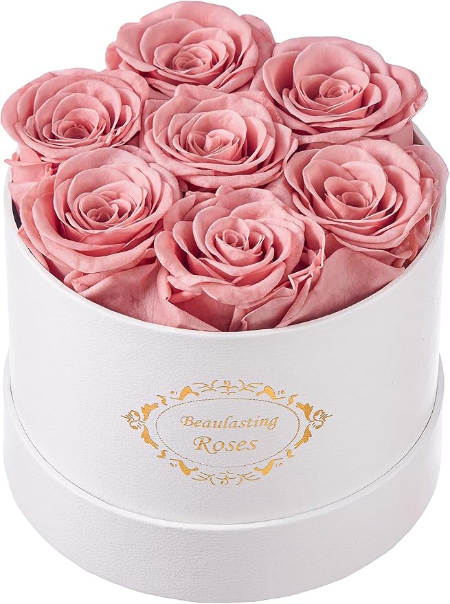 Beaulasting Long Lasting Preserved Roses in a Box Last a Year Forever Flowers for Her Mom Wife Anniversary Birthday (Round White Box, Dusty Pink)