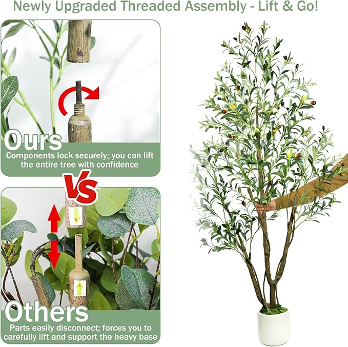 Caxchiling Artificial Olive Tree 6FT, Indoor Outdoor Faux Tree | Natural Trunk with Olive Fruits and Buds in White Planter for Home Office Living Room
