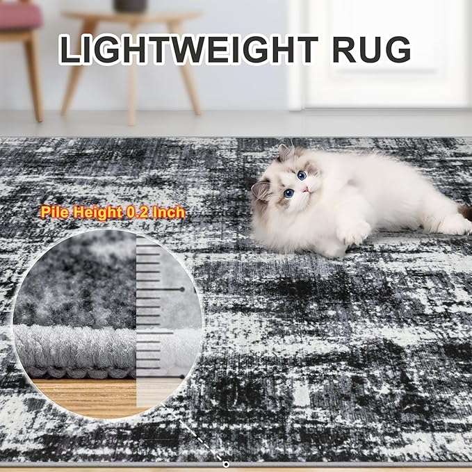 Area Rugs Living Room Rug - 4x6 Washable Modern Abstract Soft Neutral Non-Slip Carpet Large Indoor Floor Thin Carpets for Bedroom Dining Room Farmhouse Nursery Home Office Black