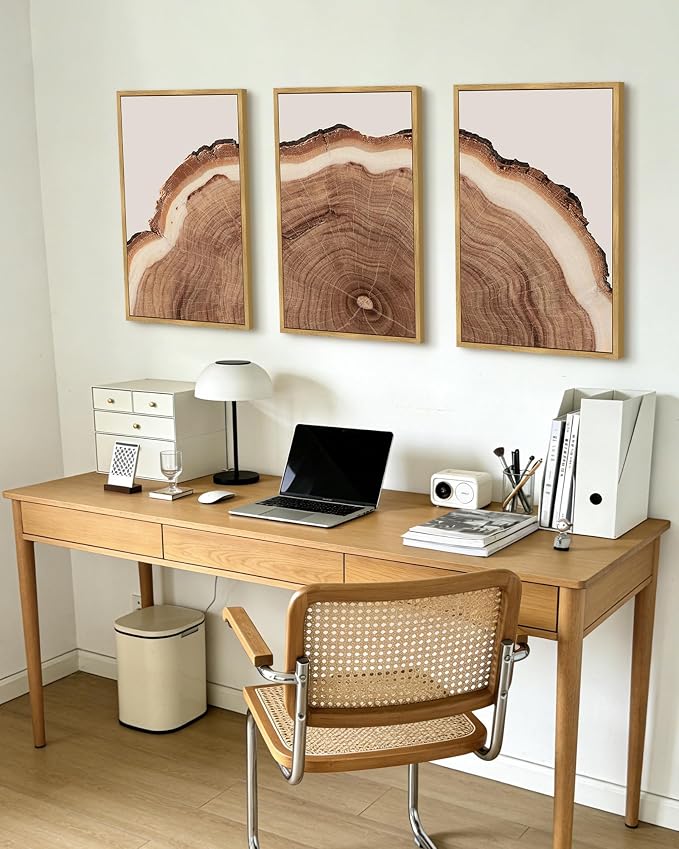 PHOPAGO Vintage Tree Rings Wood Framed Wall Art Large 16x24in Modern Retro Stump Wall Decor Nature Farmhouse Rustic Art Prints Home Decor - Natural Framed