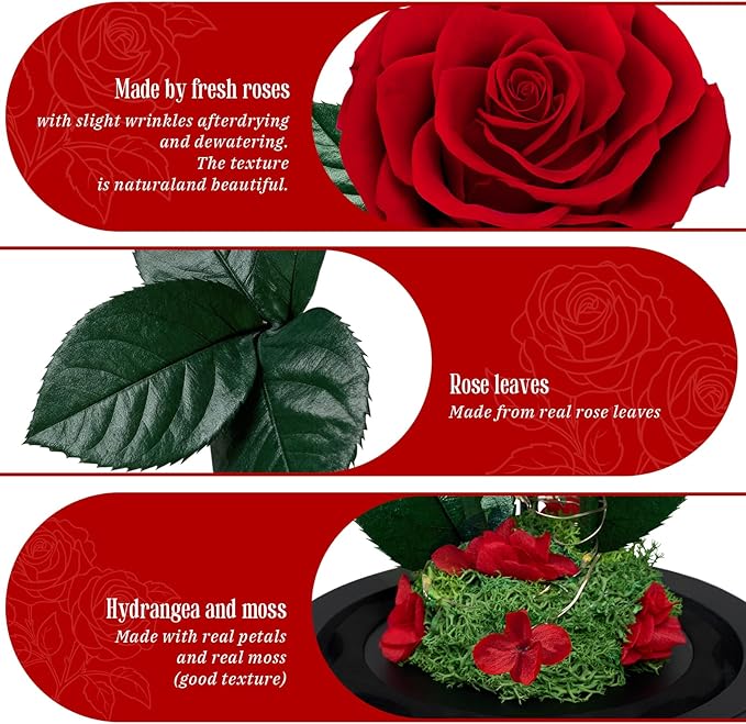 3 Preserved Flowers Roses in Glass Dome for Beauty and The Beast Decor Real Rosas Eternas for Women Mom Birthday,Forever Red Roses for Delivery, Gifts for Wife Girlfriend Her