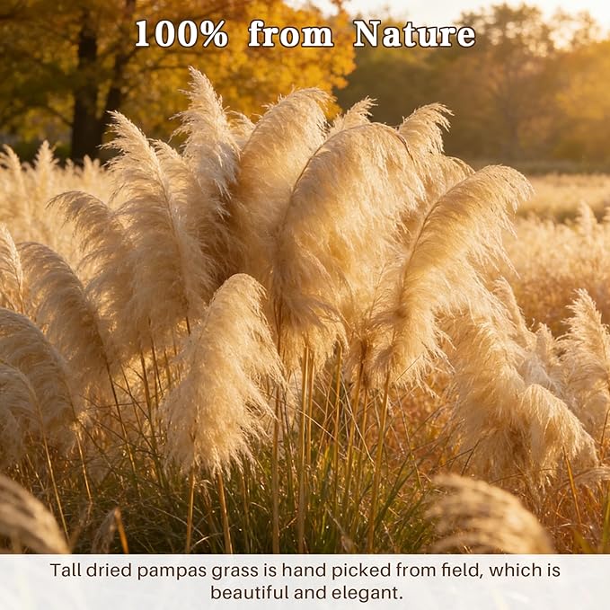 12 Stems 46" Tall Pampas Grass Decor for Floor Vase Large Dried Pampas Grass, Extra Fluffy Natural Dried Flowers for Home Living Room, Boho Wedding Decor, Modern Farmhouse Floral Arrangements