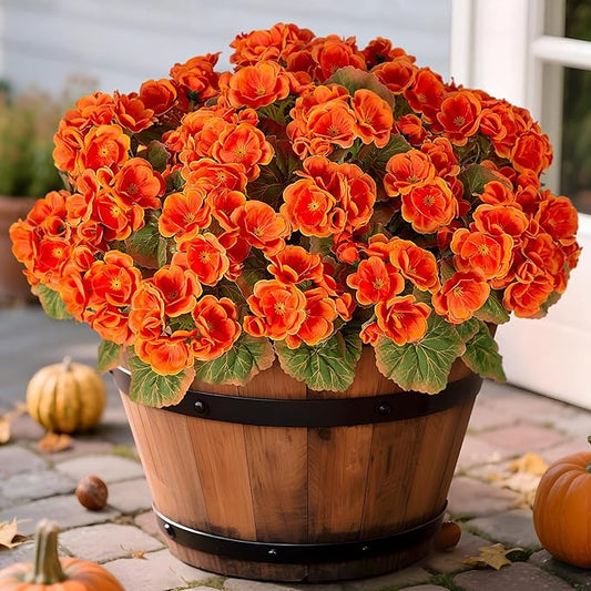 Ammyoo Fake Fall Flowers Artificial for Outdoors Decoration, 6 Bundles Faux Geranium Silk Flower Outside UV Resistant No Fade Artificial Floral for Home Garden Balcony Indoor Table Centerpieces Decor
